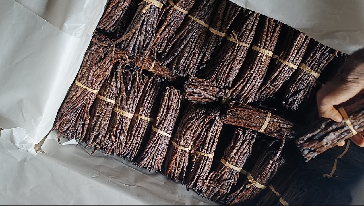 Trusted vanilla supplier Madagascar