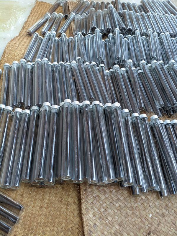Tubes de vanille malgaches pas cher