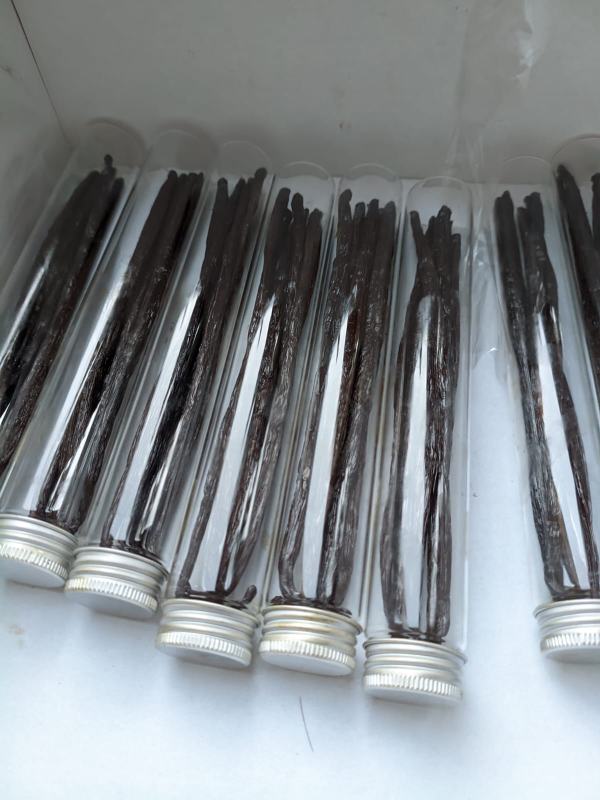 Tubes de vanille malgaches pas cher
